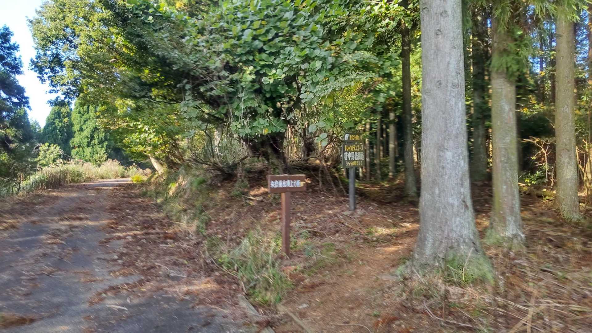 再び登山道にp(^-^)q