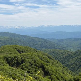 緑の先に北アルプス