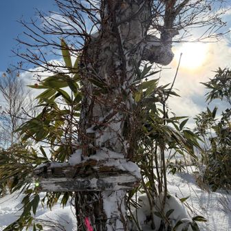登頂〜
🏔️古い山標識なのかな