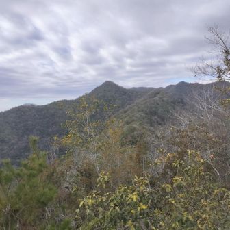 これからいかんとする鳳凰の峰
