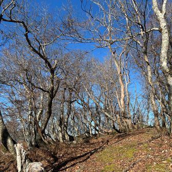 開けてきた！そろそろ…
でも雪ないやーん🤣