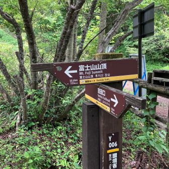 山頂まで515分