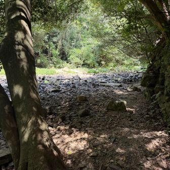 水少ないので渡渉は余裕