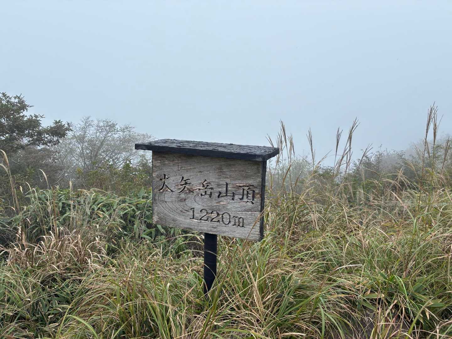 大矢岳の山頂
