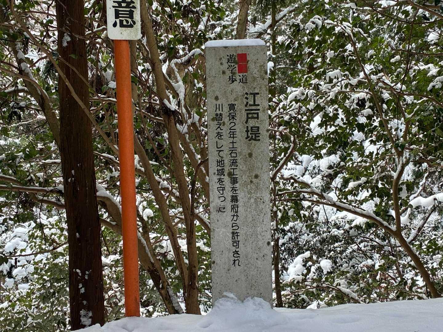 江戸堤通過
歴史の有る地域です