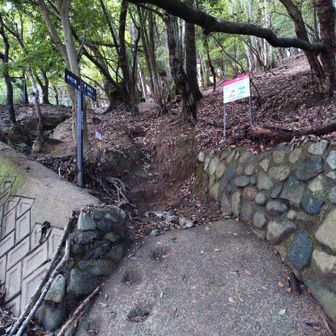 妙見山上杉尾根登山口。

此処に辿り着くまで
急勾配区間続きで難儀させられましたが
此処を通り抜けると勾配も緩くなり
大分足腰への負担が軽くなります。

後は道なりに辿ってゆくと
妙見口駅へと着きます🐕️