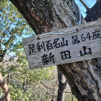 ⑪新田山