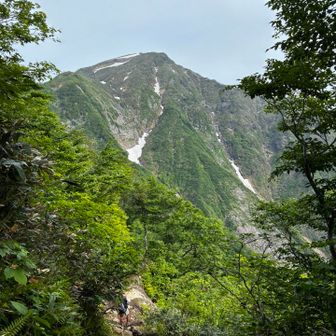 登り始めにいつも感じる
あそこまで歩くのか…