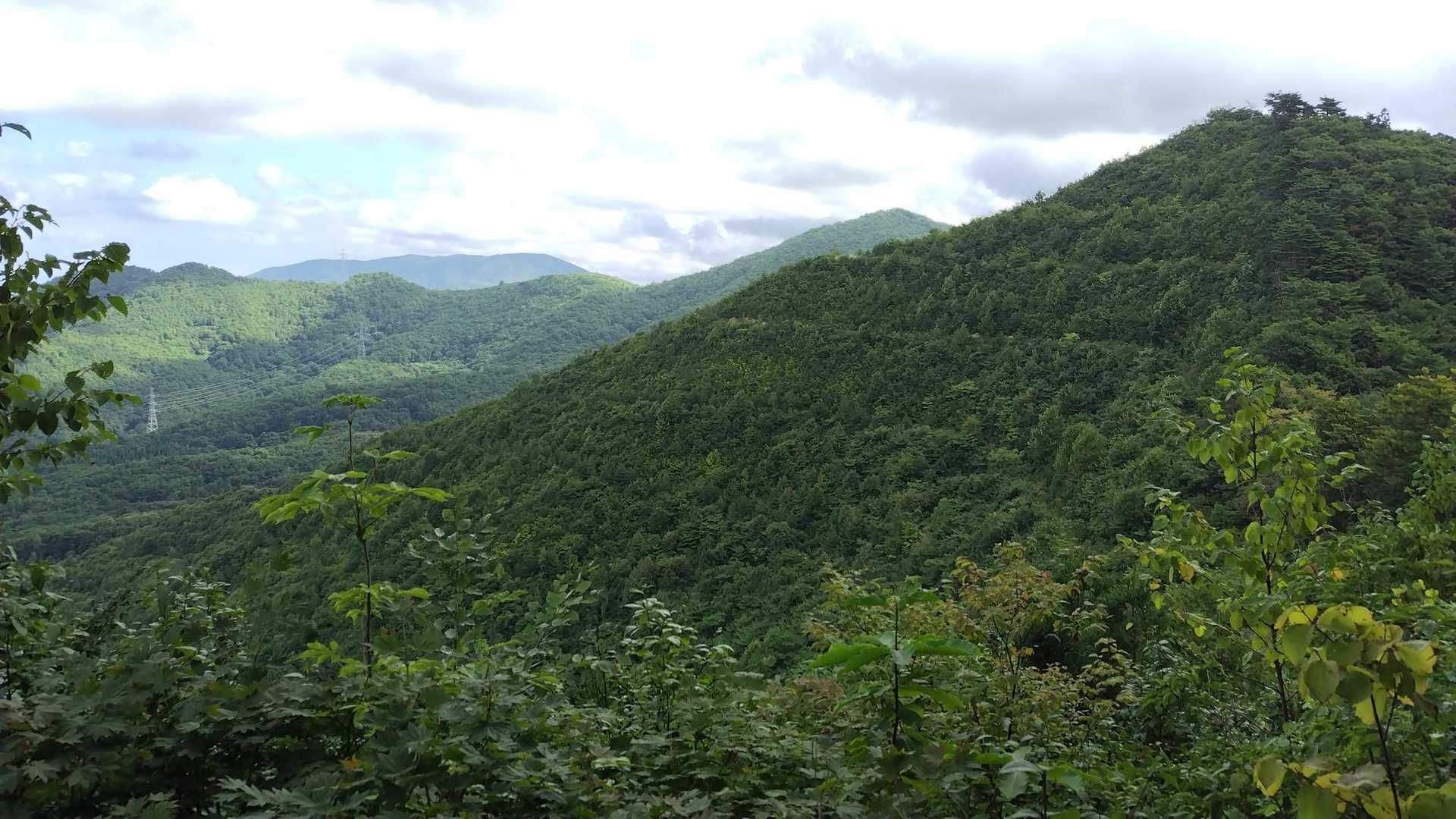 右から
バリカン山・楢木森山・後方東岳。
鉄塔も見えている。