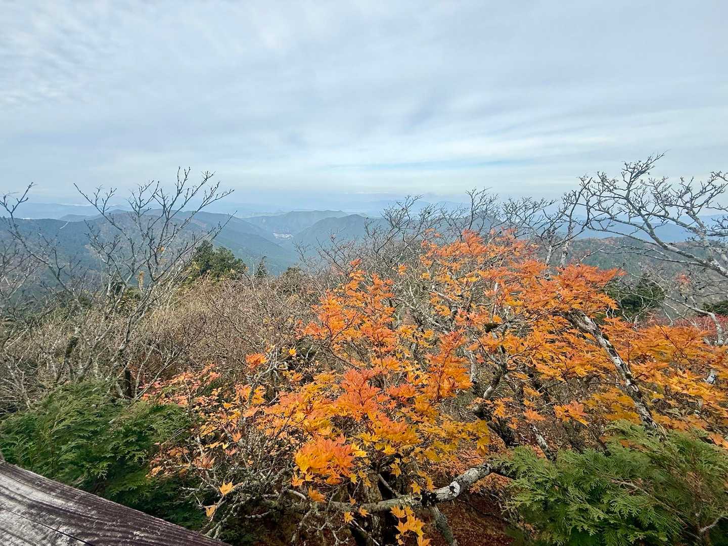 洞辻茶屋-山上ヶ岳 周回コースの写真