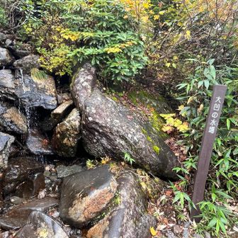 大凹の水場
飲めるのか…？