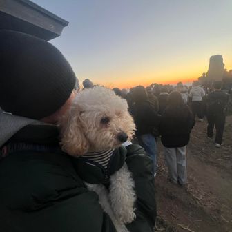 あまりの人に驚く🐶