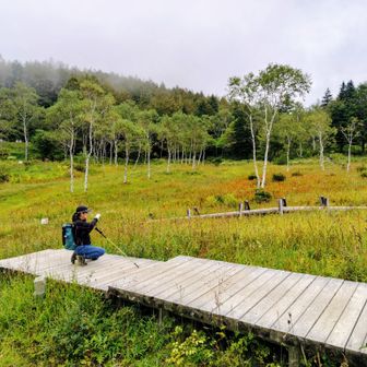 湿原にて