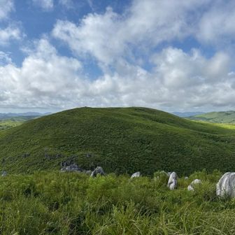 雲は最早、秋雲の様相を示している。
コンビニを覗くと秋味のビールが陳列されていた。