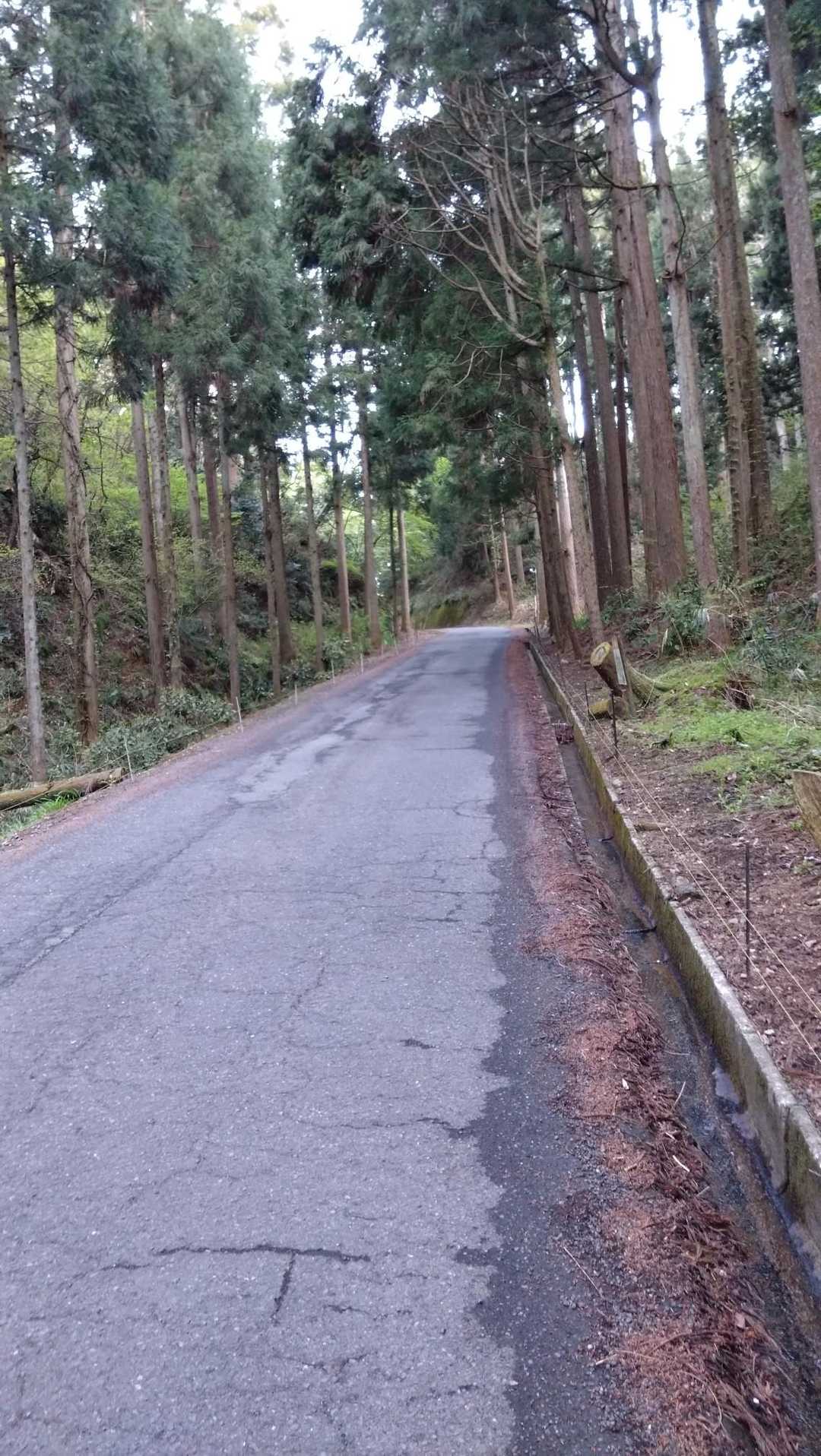 帰りのロードは坂練天国（あえて地獄とはかきません）
