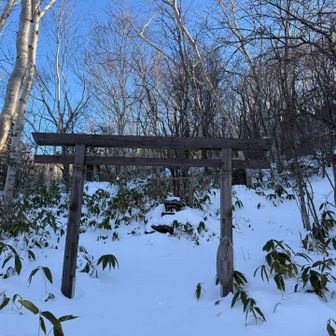 鳥居のあたりからは不明瞭な笹藪ゾーンを登ります