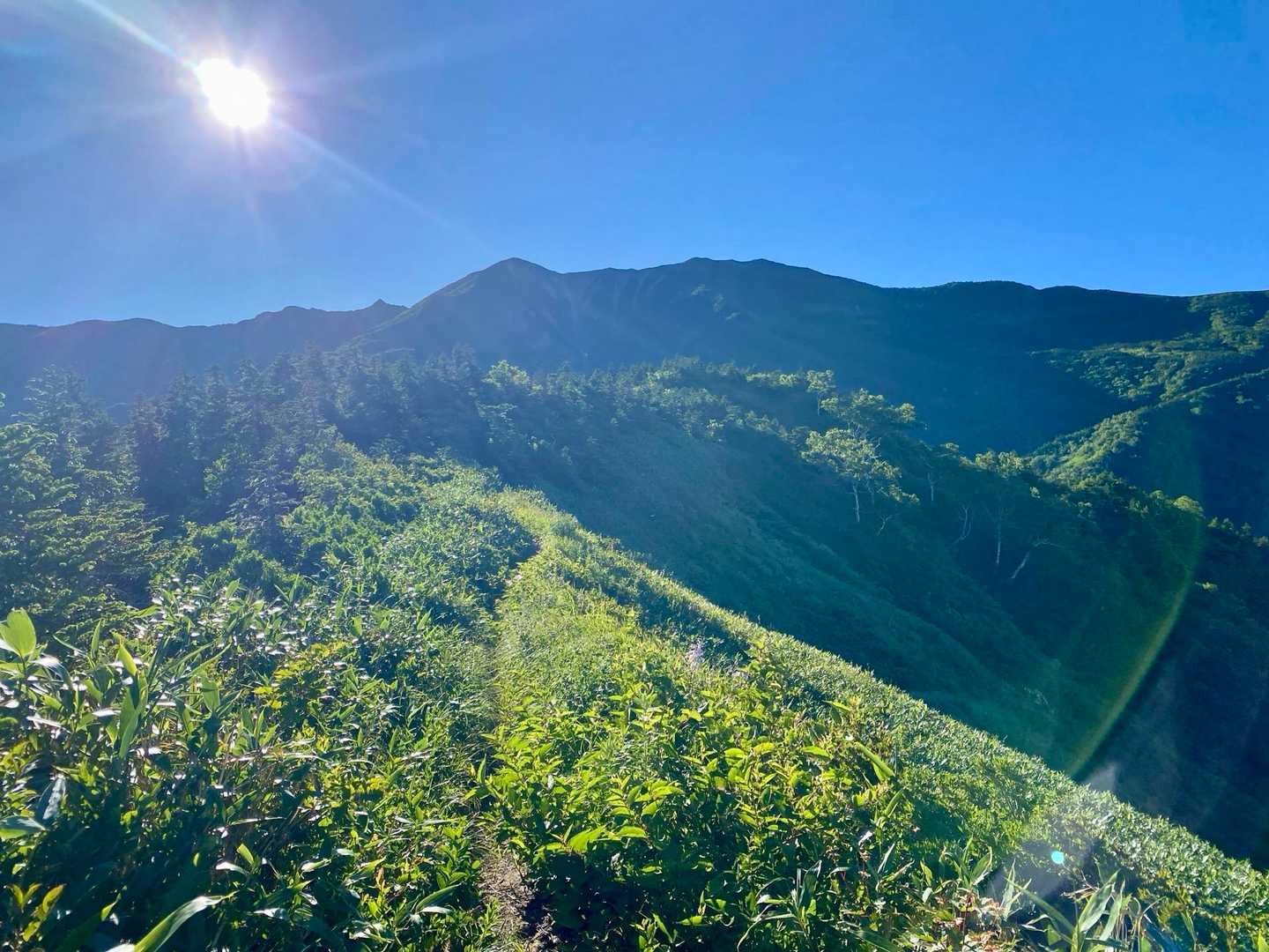 樹林帯を抜けると別山が見えて来た。