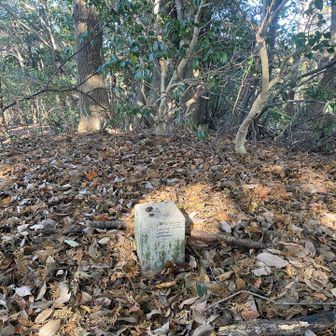 稲荷山の三角点！