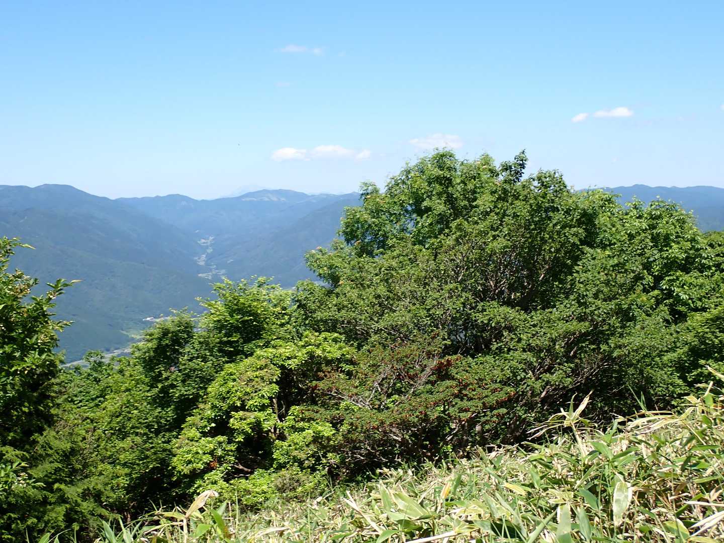 うっすらと大山