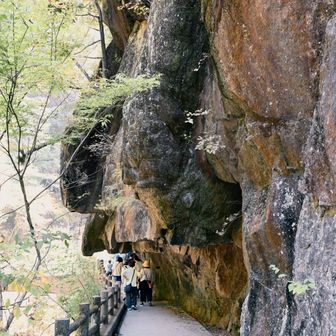 登山客いません