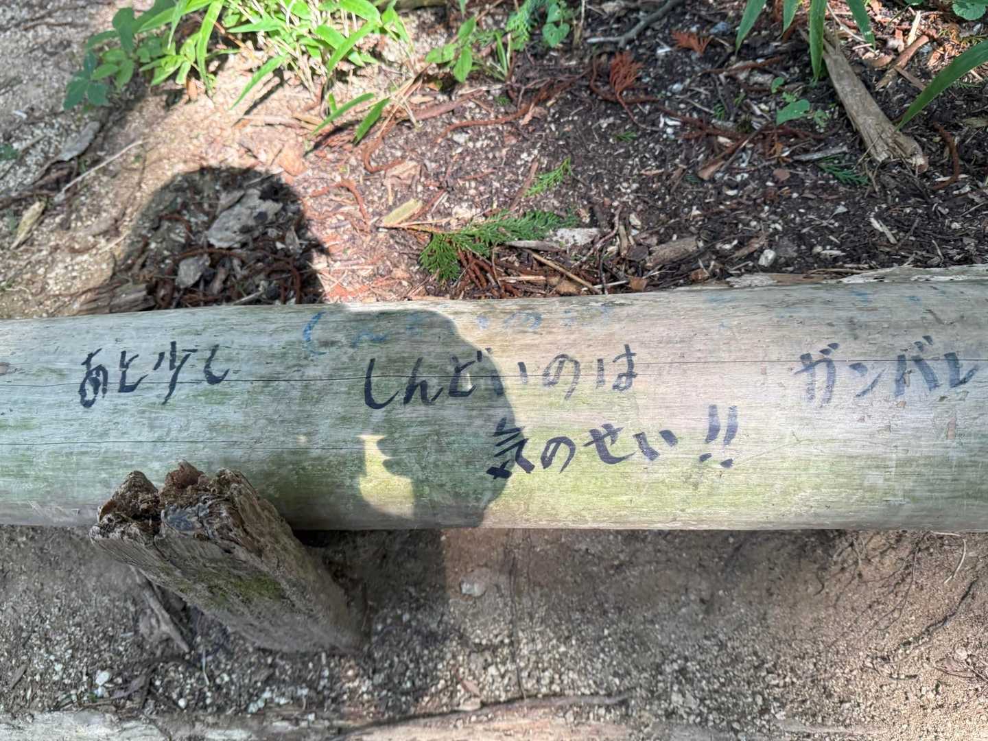 うなづいてしまう😆