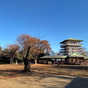 枡形山山頂。初めて来た時は川崎市内にこんなに高くて眺望の良い場所があるのか！と驚いた。数十年後、何気なくアップルウォッチで標高を調べたら我が家のマンション（当時は実家暮らしだったので川崎市内の別の場所でしたが）がほぼ同じ高さだったことに気づいて更に驚いた。（田園都市線の最寄駅自体もそれなりに標高があるので、そこまで高いとは知らなかった）