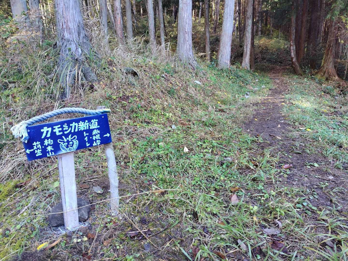 道にもｶﾓｼｶの名前が付いてるんだけど…