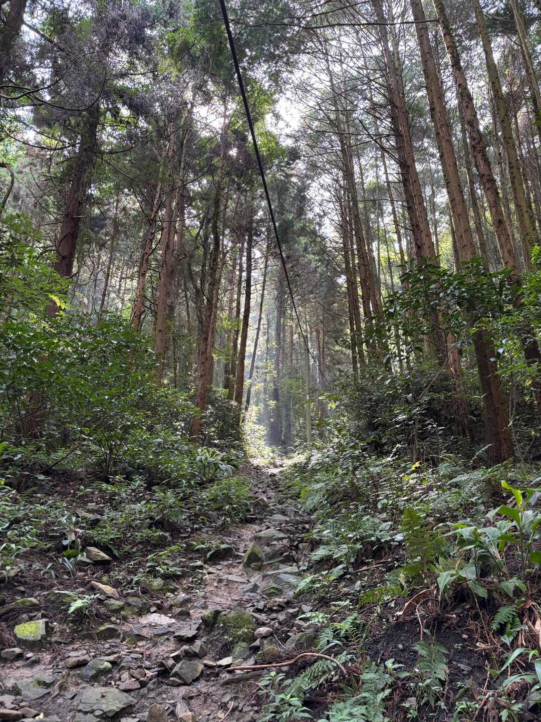 六嶽上宮登山口-六ヶ岳-鞍手登山口 周回コースの写真