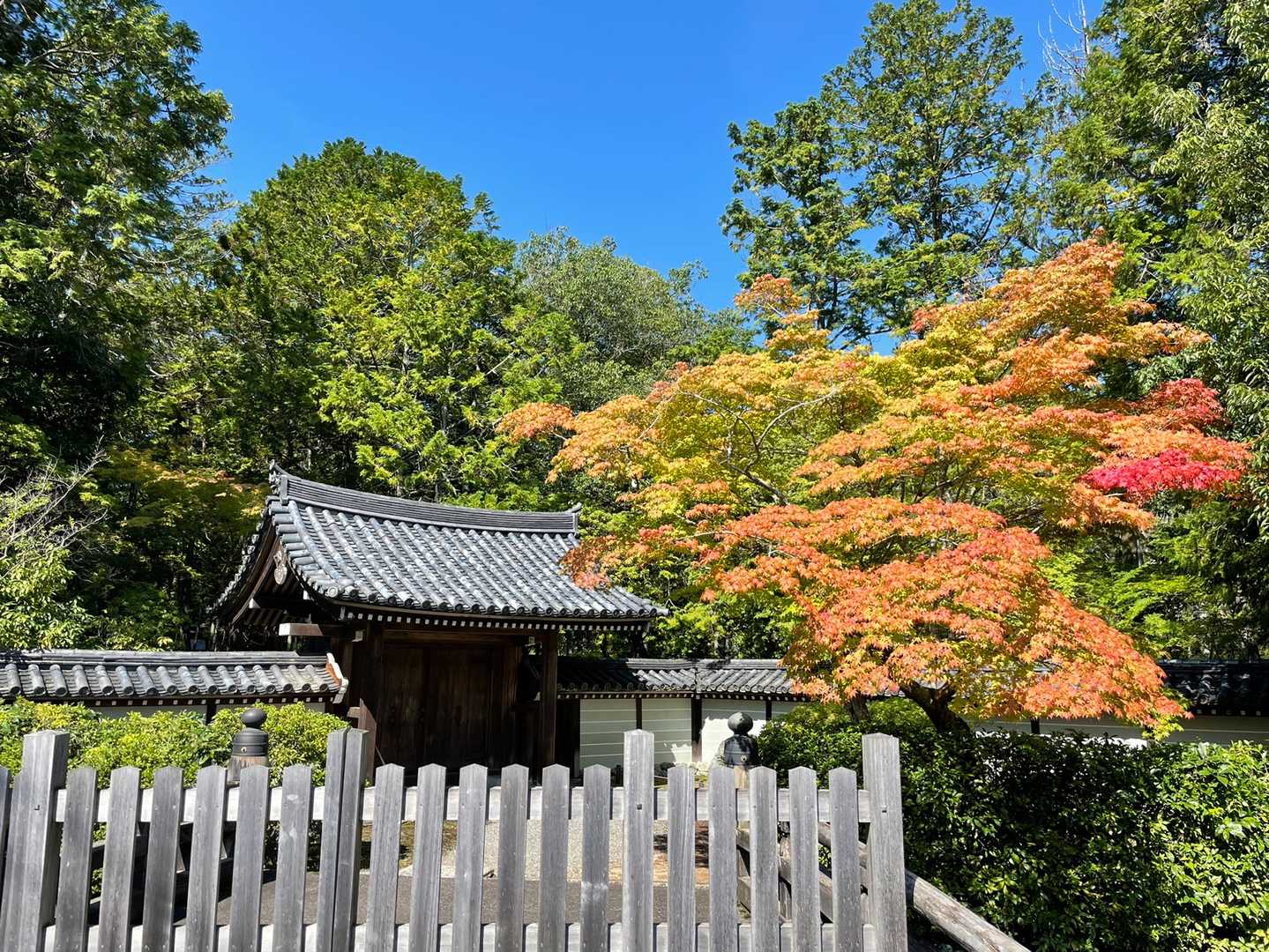 苔寺
なんか人多かったな