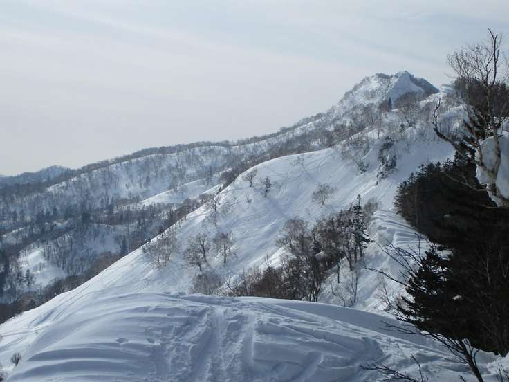タケノコ山（北海道） | YAMAP / ヤマップ