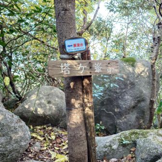 とうちゃこ♪
眺望はなし