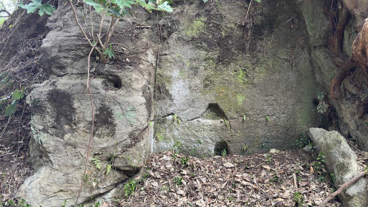 鎌倉アルプス縦走 の写真 5