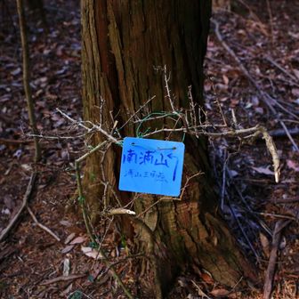 ここのピークは探したけど見つけることが出来なかった💦