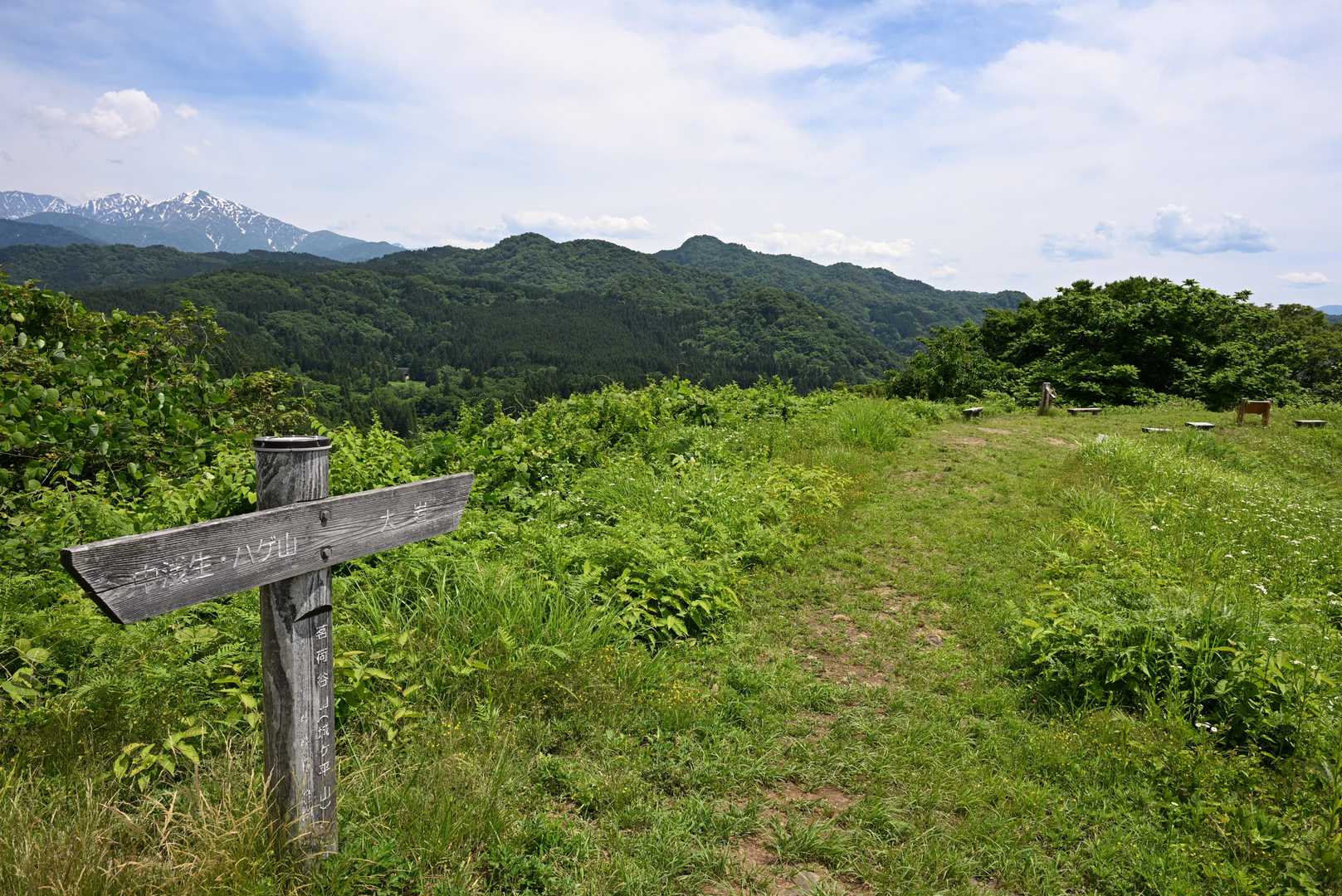 城ヶ平の山頂独り占め