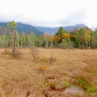 田代湿原の草紅葉