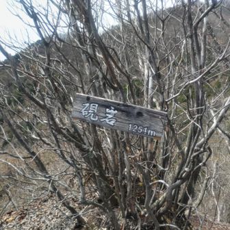 看板があるのを今回初めて知りました。教えて下さった方!!ありがとうございました🙏