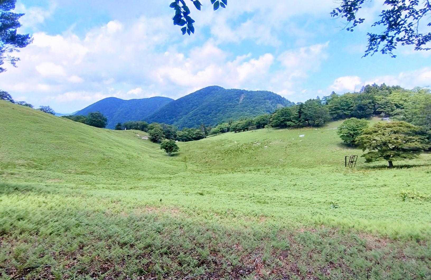 明神平方面には国見山や赤ゾレ山も見えました