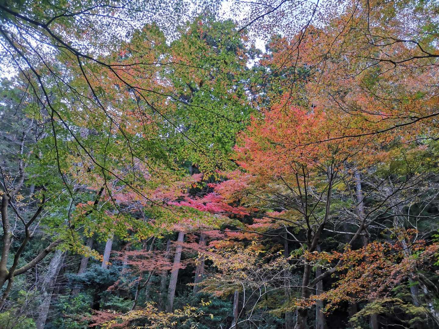 遊歩道はまだまだ