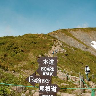 登山道(最短)、観光道(遠回り)が選べます。