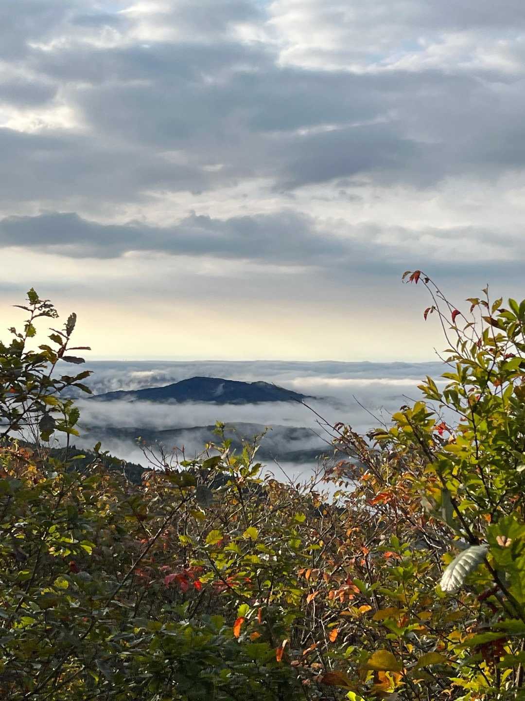 一盃山 往復コースの写真