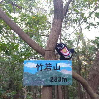 竹若山
お腹空いてカロリーメイト頬張る