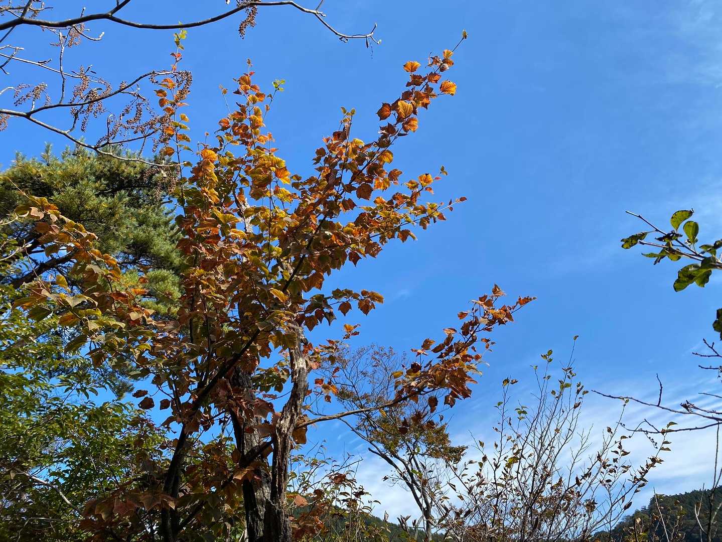 青空が綺麗で気持ち良いです😊