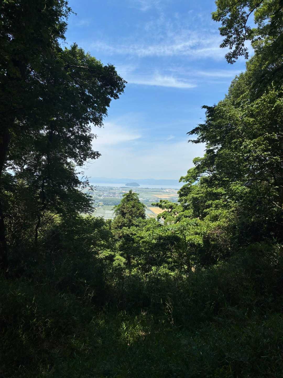 ここからは琵琶湖が見える🤩竹生島みっけ🏝️緑フレームがいい感じ💚