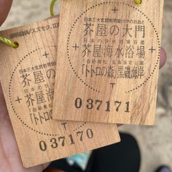 連番で頂きました✨
