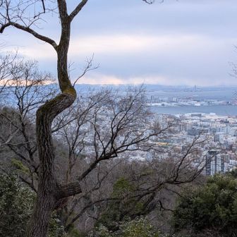 大阪から向こうは
雪雲みたいな感じ