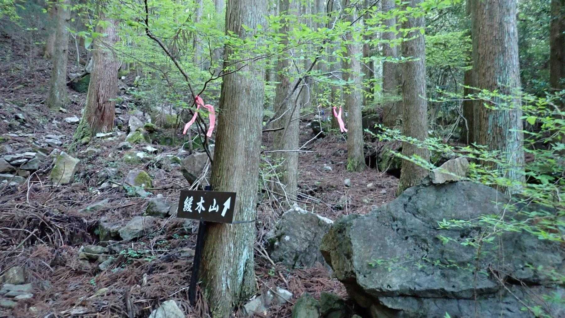 ここから山道へ。