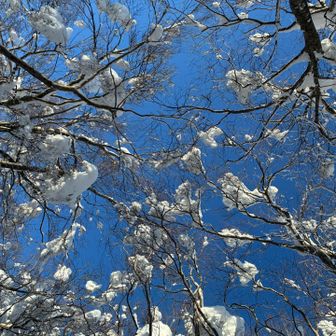 キラキラ樹氷✨️期待してたけど
雪玉多し…爆弾💣2発あたま直撃🤣
当たり年か！