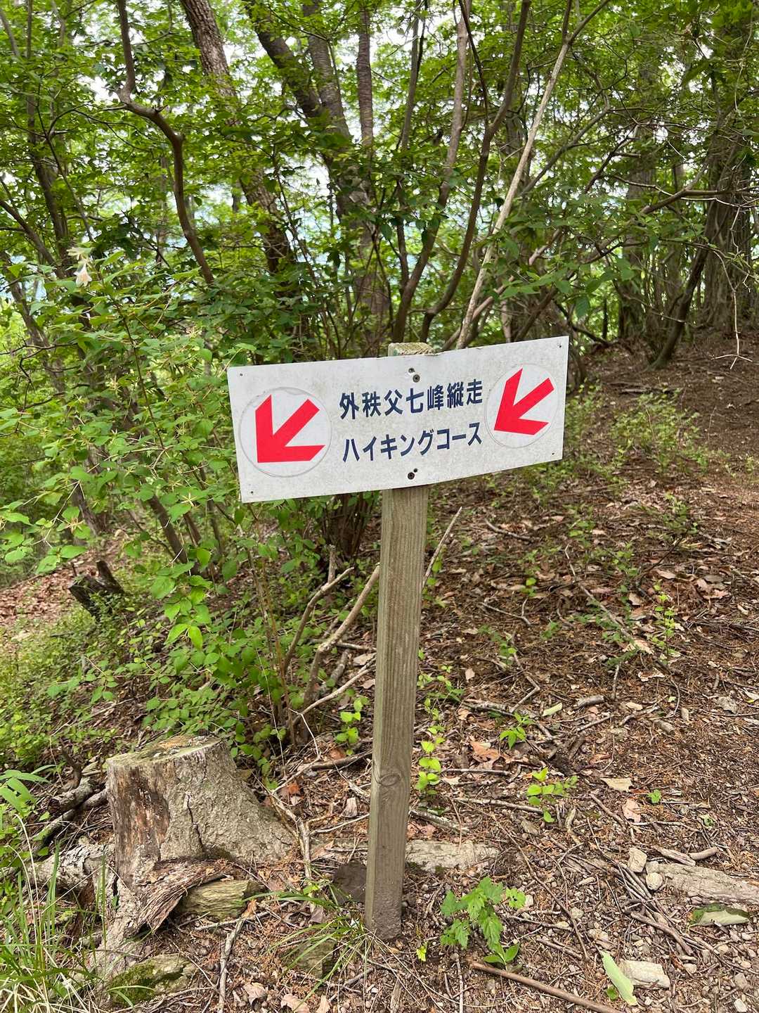七峰縦走コース、懐かしい〜🥾