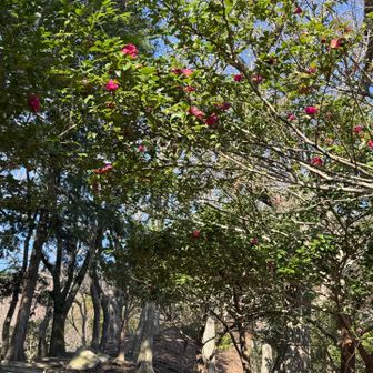 こぼれ落ちそうになるのは年明けかな？