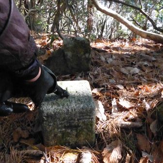 三等三角点「塩野」、標高1007.58mです。